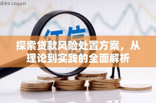 芦淞探索贷款风险处置方案，从理论到实践的全面解析