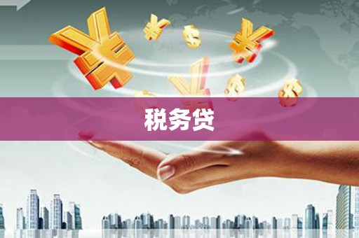 芦淞税务贷
