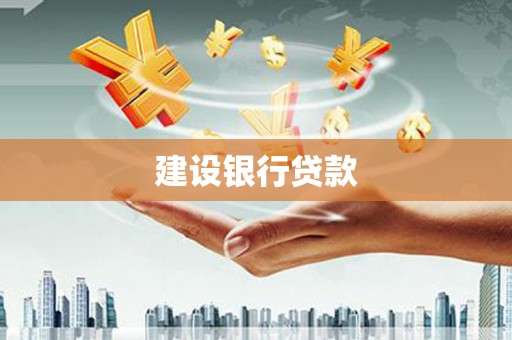 芦淞建设银行贷款