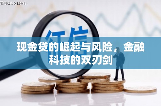 芦淞现金贷的崛起与风险，金融科技的双刃剑