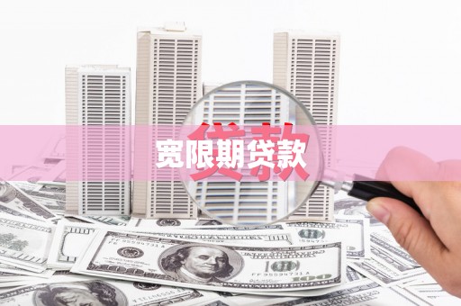 芦淞宽限期贷款
