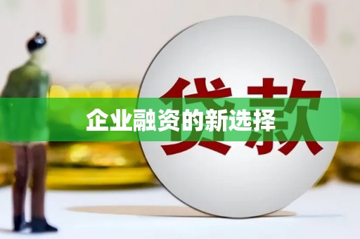 芦淞企业融资的新选择