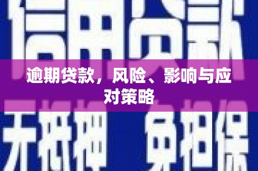 芦淞逾期贷款，风险、影响与应对策略