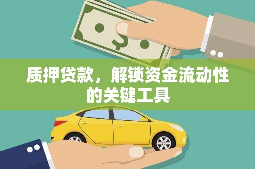 芦淞质押贷款，解锁资金流动性的关键工具