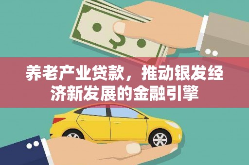 芦淞养老产业贷款，推动银发经济新发展的金融引擎
