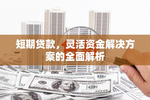 芦淞短期贷款，灵活资金解决方案的全面解析