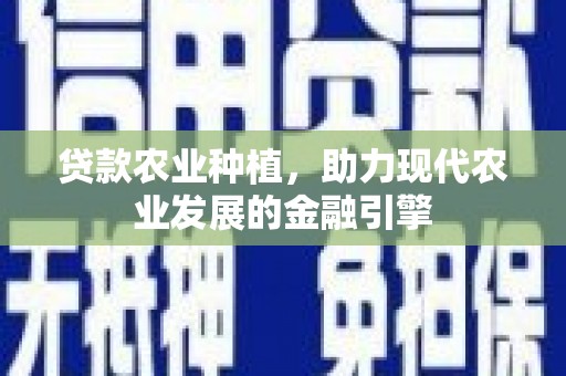 芦淞贷款农业种植，助力现代农业发展的金融引擎
