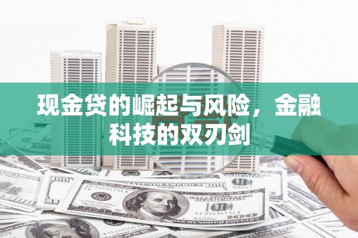 芦淞现金贷的崛起与风险，金融科技的双刃剑