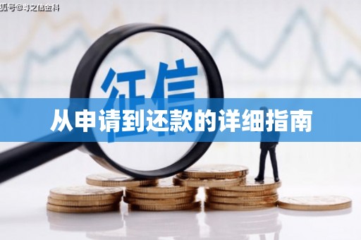 芦淞从申请到还款的详细指南