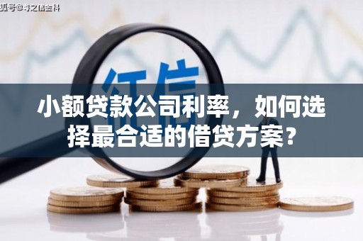 芦淞小额贷款公司利率，如何选择最合适的借贷方案？