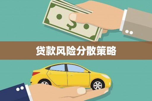 芦淞贷款风险分散策略