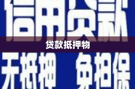 芦淞贷款抵押物