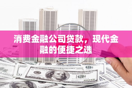 芦淞消费金融公司贷款，现代金融的便捷之选