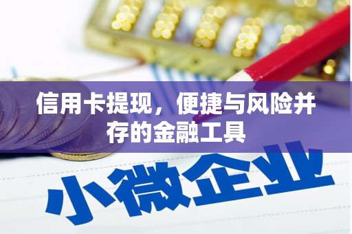 芦淞信用卡提现，便捷与风险并存的金融工具