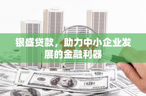 芦淞银盛贷款，助力中小企业发展的金融利器