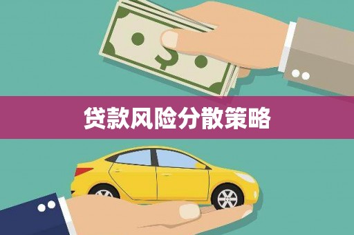 芦淞贷款风险分散策略