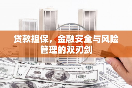 芦淞贷款担保，金融安全与风险管理的双刃剑
