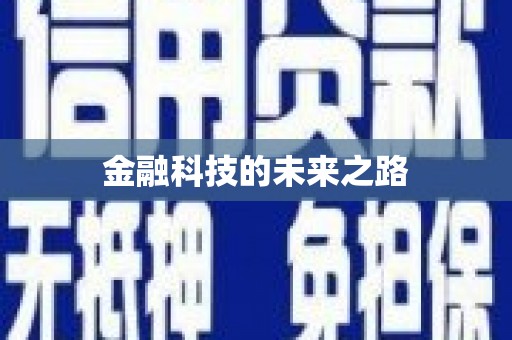 芦淞金融科技的未来之路