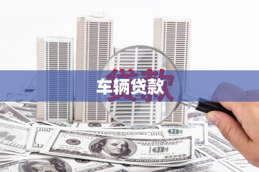 芦淞车辆贷款