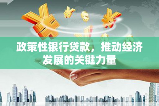 芦淞政策性银行贷款，推动经济发展的关键力量