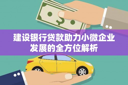 芦淞建设银行贷款助力小微企业发展的全方位解析