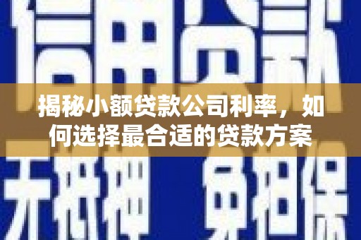 芦淞揭秘小额贷款公司利率，如何选择最合适的贷款方案
