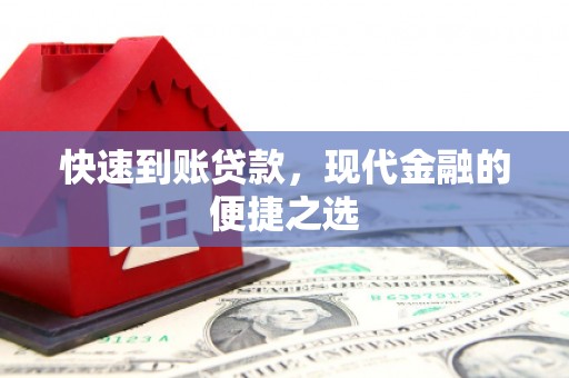 芦淞快速到账贷款，现代金融的便捷之选