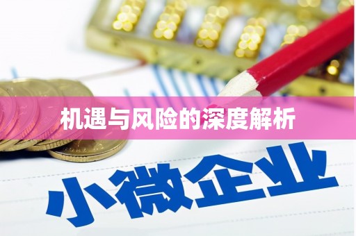 芦淞机遇与风险的深度解析