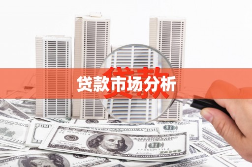 芦淞贷款市场分析