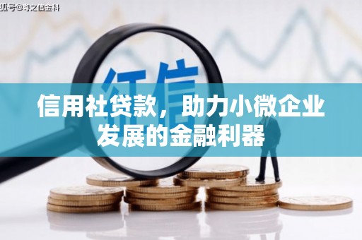 芦淞信用社贷款，助力小微企业发展的金融利器