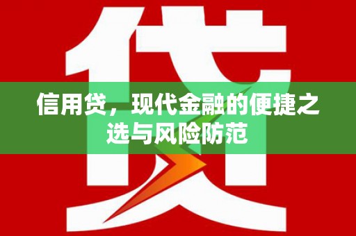 芦淞信用贷，现代金融的便捷之选与风险防范