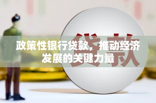 芦淞政策性银行贷款，推动经济发展的关键力量