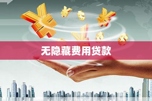 芦淞无隐藏费用贷款