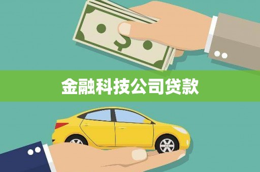 芦淞金融科技公司贷款