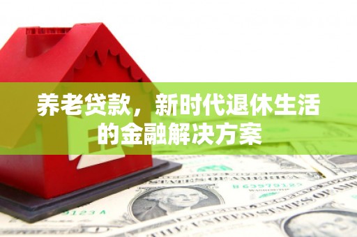 芦淞养老贷款，新时代退休生活的金融解决方案