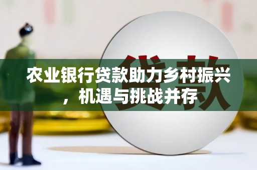 芦淞农业银行贷款助力乡村振兴，机遇与挑战并存