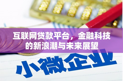 芦淞互联网贷款平台，金融科技的新浪潮与未来展望