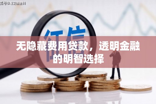 芦淞无隐藏费用贷款，透明金融的明智选择