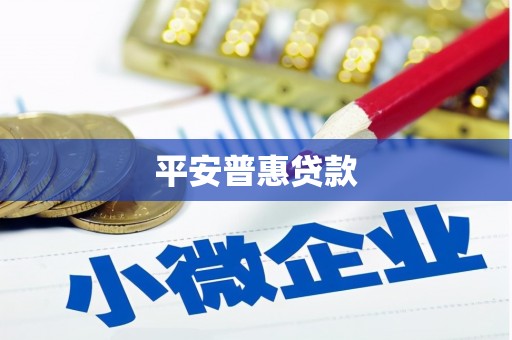 芦淞平安普惠贷款