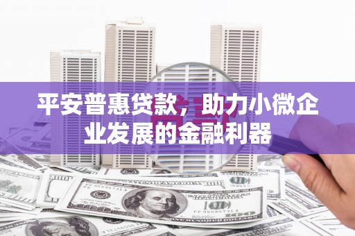 芦淞平安普惠贷款，助力小微企业发展的金融利器