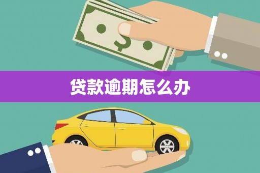 芦淞贷款逾期怎么办