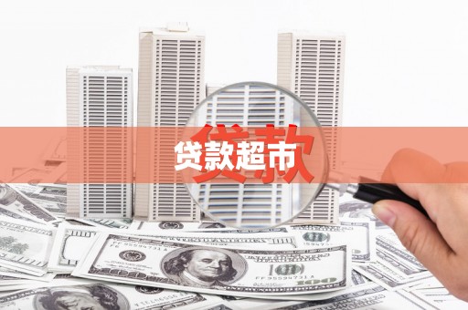 芦淞贷款超市