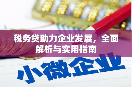 芦淞税务贷助力企业发展，全面解析与实用指南
