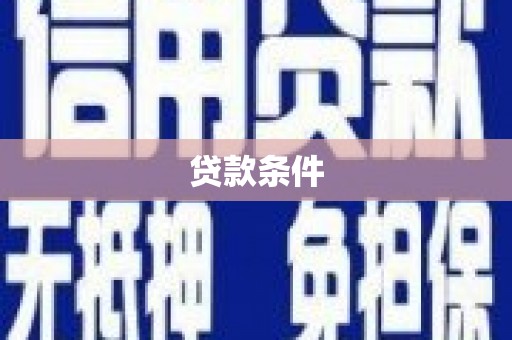 芦淞贷款条件