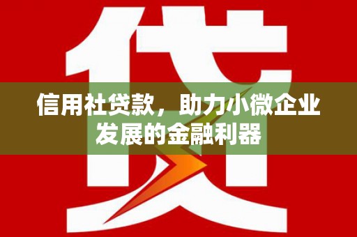 芦淞信用社贷款，助力小微企业发展的金融利器