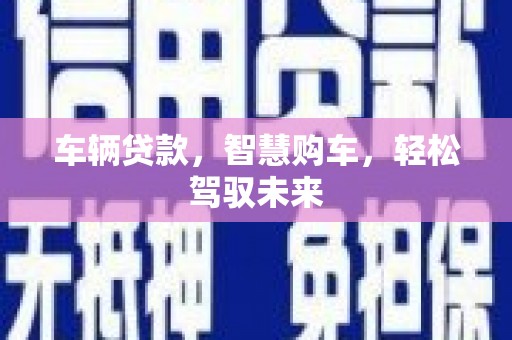 芦淞车辆贷款，智慧购车，轻松驾驭未来