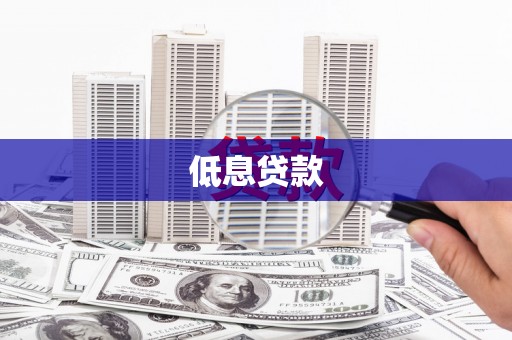 芦淞低息贷款