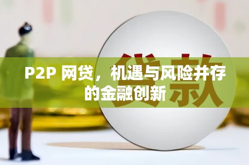 芦淞P2P 网贷，机遇与风险并存的金融创新