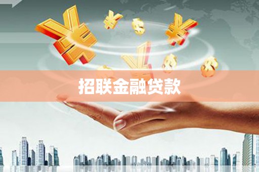 芦淞招联金融贷款