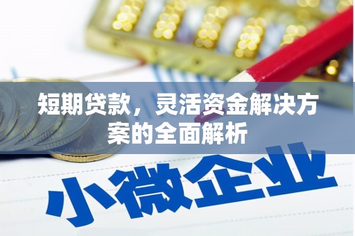 芦淞短期贷款，灵活资金解决方案的全面解析